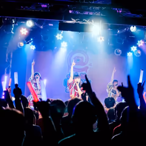 熱狂的な観客とのライブステージ